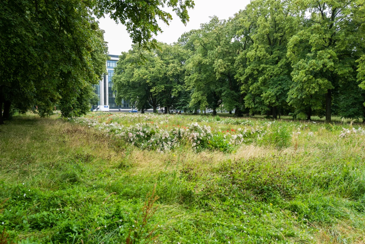 Nowe parki, które powiększą ofertę przyrodniczą i rekreacyjną Łodzi, oficjalnie pojawią się w środę. Wówczas, na sesji rady miejskiej, radni zatwierdzą ich granice i nazwy. Będą to kolejne tereny, które zostaną wyłączone spod zabudowy.