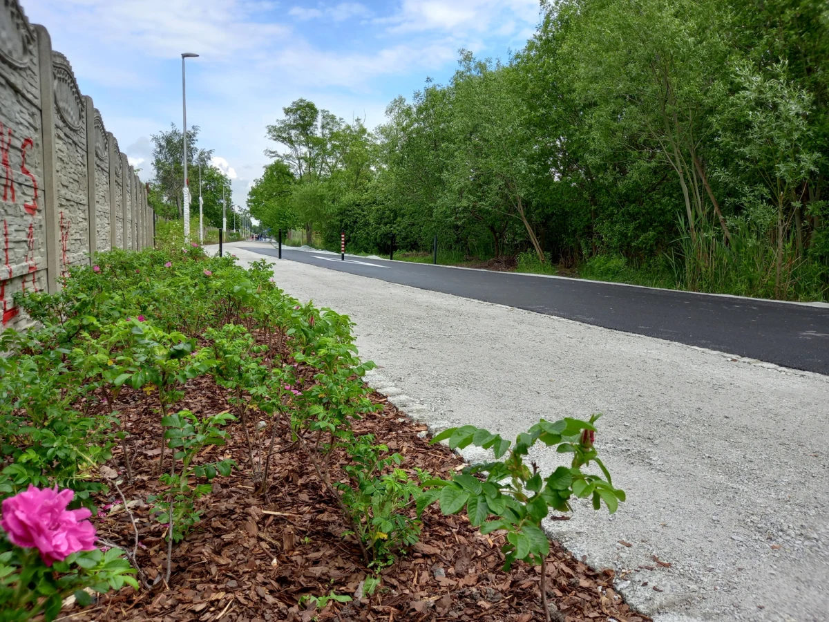 Dziś oddano do użytkowania wrocławianom kolejne odcinki Promenady Krzyckiej. Są położone między ulicami Bardzką i Śliwkową oraz Ziębicką i Gazową. Budowa nowych odcinków trwała od stycznia. 730 metrów trasy kosztowało ponad 1,7 mln zł. Mogą z niej korzystać m.in. rowerzyści czy spacerowicze.