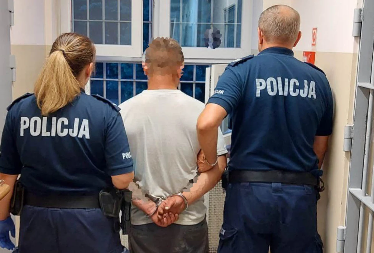 ​Po policyjnym pościgu udało się zatrzymać 31-latka, który znęcał się nad kotem. Kopnął siedzące przed sklepem zwierzę, które doznało częściowej utraty wzroku. Niebawem mężczyzna stanie przed sądem.