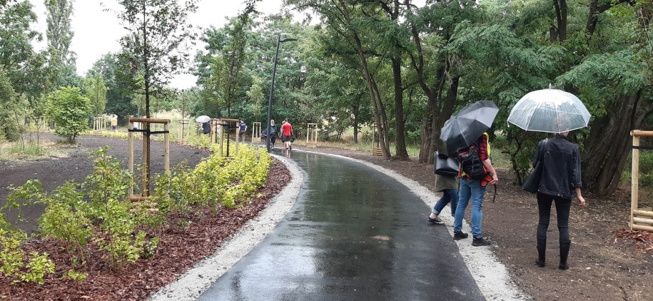 /ZDiUM we Wrocławiu /Materiały prasowe