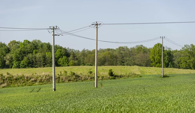 Porażeni prądem kontra zakłady energetyczne. "Ludzie nie wiedzą, że ktoś za to odpowiada"