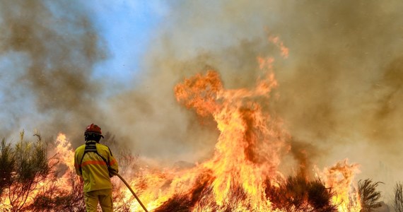 Przechodząca przez Portugalię fala ponad 35-stopniowych upałów doprowadziła do dużych pożarów na terenie tego kraju. Wskutek tropikalnej aury płoną głównie drzewostany.