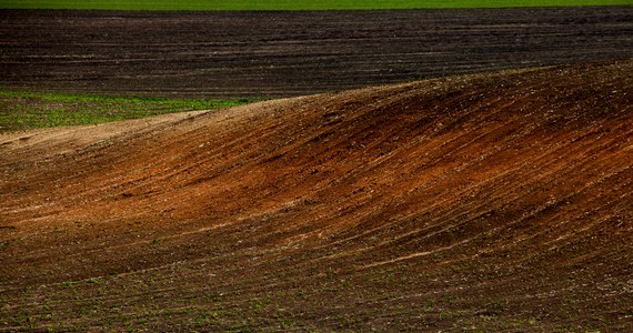 W efekcie największej od 25 lat suszy w Mołdawii tegoroczne zbiory zbóż będą w tym kraju znacząco mniejsze niż normalnie - poinformowały w sobotę krajowe organizacje rolnicze.