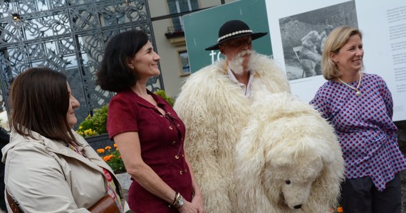 Legendarny Biały Miś już od stu lat na zakopiańskich Krupówkach pozuje turystom do fotografii. Podczas trwającego właśnie Zakopiańskiego Festiwalu Literackiego otwarto wystawę fotografii z Białym Misiem, a także zaprezentowano książkę prezentującą jego historię. Nie zabrakło też urodzinowego tortu.