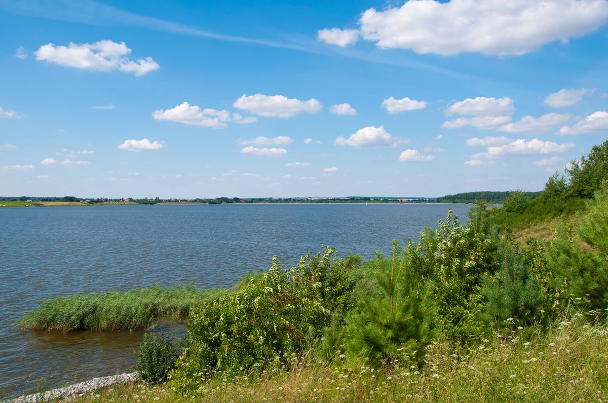 Zakaz kąpieli nad zalewem w Nieliszu wprowadzono z powodu wypływu na brzeg obumarłych małż tzw. szczeżuj wielkich. Trudno powiedzieć, jak długo potrwa ta sytuacja, bo to u nas pierwszy taki przypadek – poinformował dyrektor zamojskiego sanepidu Stanisław Jaślikowski.