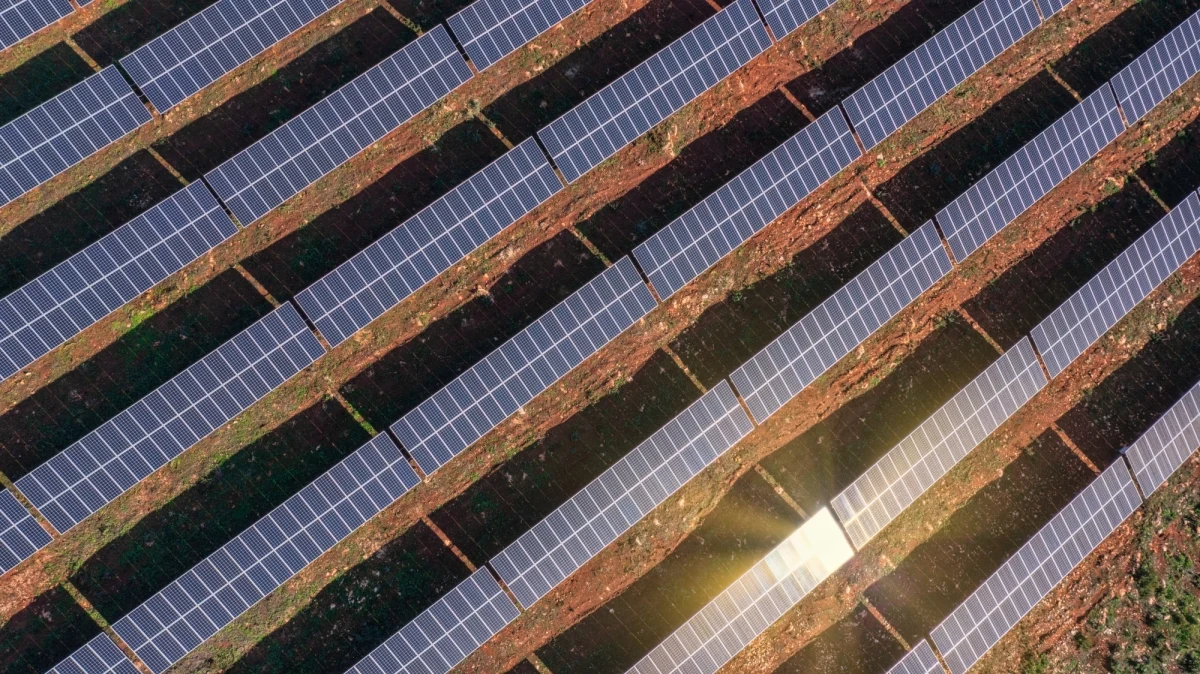 Budowa jednej z największych farm fotowoltaicznych na Podkarpaciu rozpoczęła się na terenie zakładu KFA Armatura w Nisku. Inwestycja o wartości kilku milionów złotych ma być oddana jesienią tego roku. Moc farmy to 1,8 MWp.

