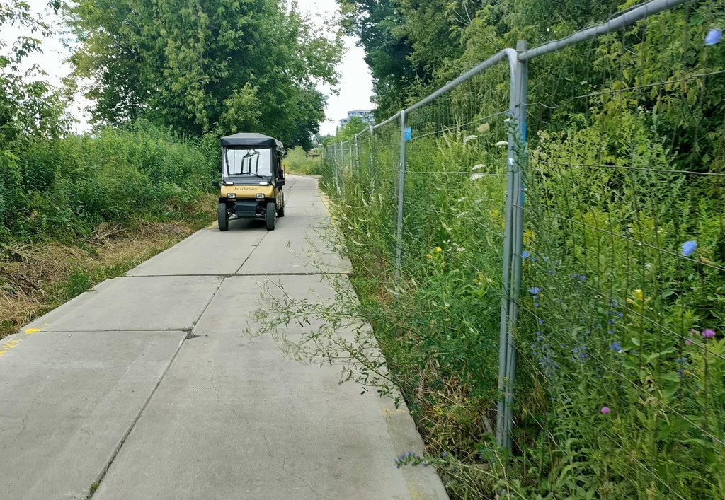 Budimelex na betonowej uliczce wiodącej ku peronowi dziewiątemu