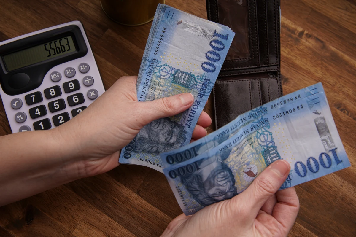 ​Węgry mocno podnoszą stopy procentowe. Bank centralny poinformował o podwyżce głównej stopy o 200 punktów bazowych, do 9,75 proc. Władze mocno obawiają się inflacji, a prezes banku już od roku krytykuje rząd za luźną politykę fiskalną.