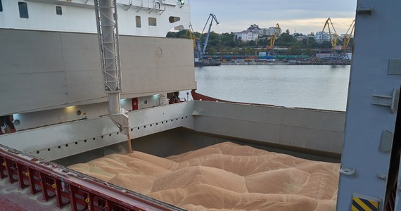 16 statków towarowych przepłynęło już przez ujście Bystre na Dunaju, aby z tamtejszych ukraińskich portów rzecznych odebrać zboże, przeznaczone na eksport - poinformował w nocy ukraiński wiceminister infrastruktury Jurij Waszkow.
