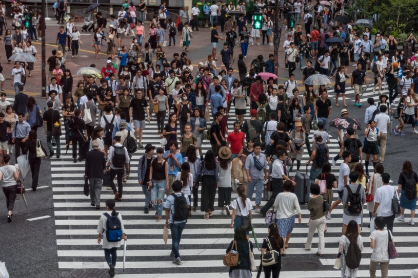 Organizacja Narodów Zjednoczonych opublikowała raport World Population Prospects 2022, z którego dowiadujemy się, ile według najnowszych szacunków będzie wynosiła populacja naszej planety przed końcem bieżącego roku. Czy jest powód do zmartwień?