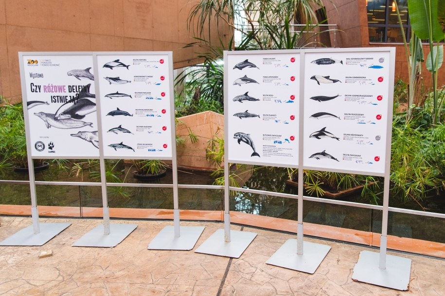 /ZOO Wrocław /Materiały prasowe