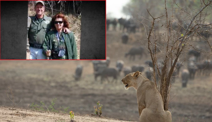 Tajemnicza śmierć na safari. W USA rozpoczął się proces w głośnej sprawie