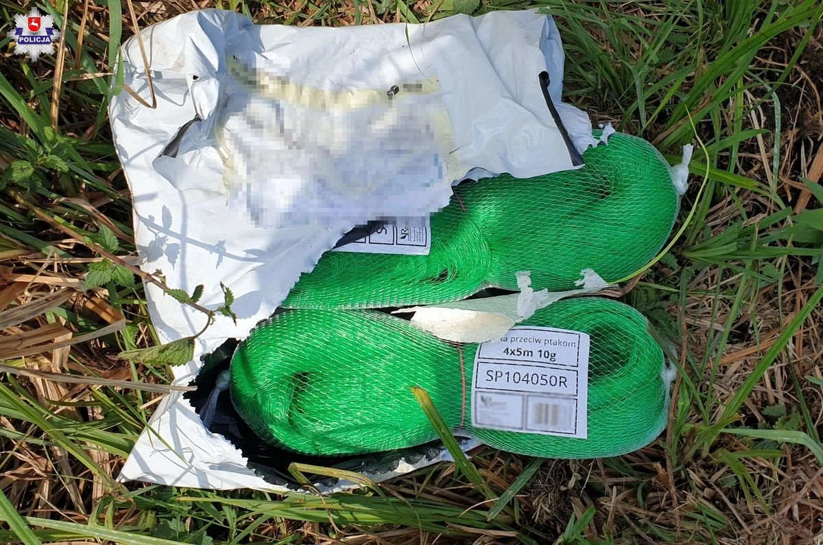 Plantację krzaków marihuany zlikwidowali tomaszowscy policjanci wspólnie  z pogranicznikami. Podczas wyrywania i zabezpieczania nielegalnych roślin mundurowi natrafili na rozpakowaną przesyłkę z etykietą i danymi osobowymi. Tym sposobem, właściciel uprawy niechcący „ułatwił” pracę policjantom. 25-latek był bardzo zaskoczony zatrzymaniem.