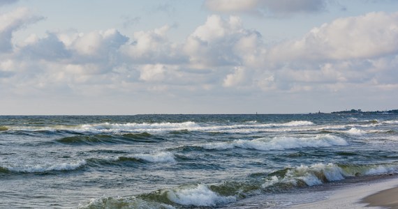 W Akwarium Gdyńskim rusza cykl warsztatów "Bałtyk naturalnie". Ich cel to zwiększenie świadomości ekologicznej i zbudowanie poczucia odpowiedzialności za środowisko naturalne. We wtorek odbędą się pierwsze wakacyjne zajęcia na plaży i w porcie jachtowym.

 