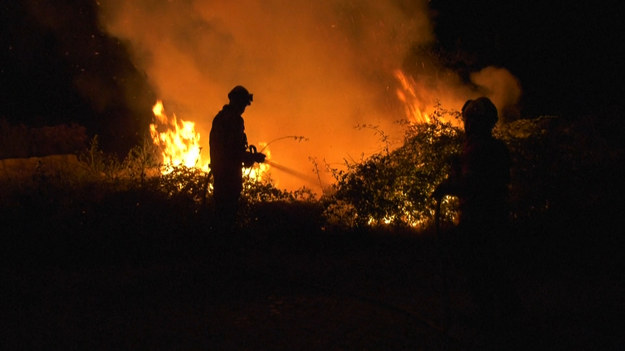 Po zmroku strażacy walczą z niszczycielskimi pożarami w północnej części Portugalii. Prawie cały kraj jest w stanie pogotowia pożarowego spowodowanego falą gorących temperatur.