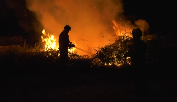 Portugalia mierzy się z falą upałów i pożarów. Strażacy gaszą je nawet nocą