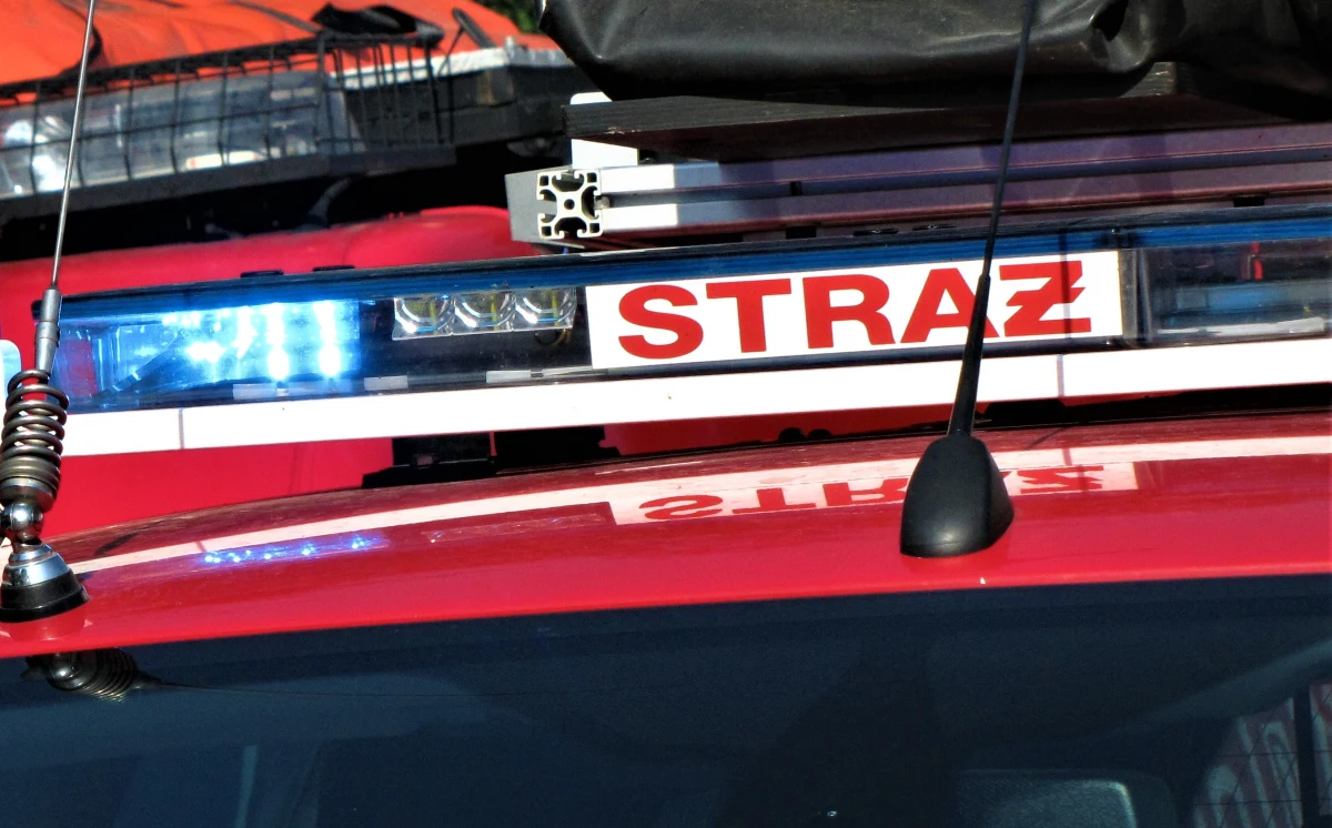 261 razy interweniowali strażacy w całym kraju w związku z usuwaniem skutków silnego wiatru i opadów deszczu - przekazał w sobotę PAP rzecznik komendanta głównego Państwowej Straży Pożarnej bryg. Karol Kierzkowski.