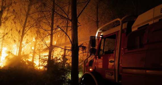 Co najmniej cztery osoby zostały ranne w wyniku trwającej już szósty dzień wielkiej fali pożarów lasów w rejonie Bordeaux we Francji. W gmachach publicznych stworzono kilkanaście tymczasowych ośrodków, w których koczuje ponad 14 tysięcy osób, ewakuowanych z pobliskich domów i kempingów. 