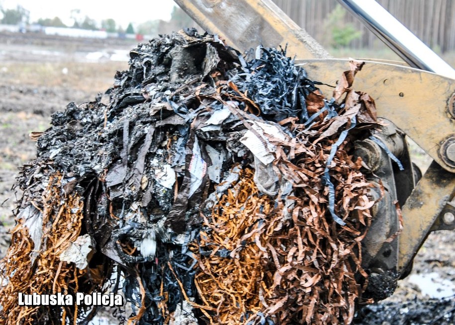 /KWP Lubuskie /Policja