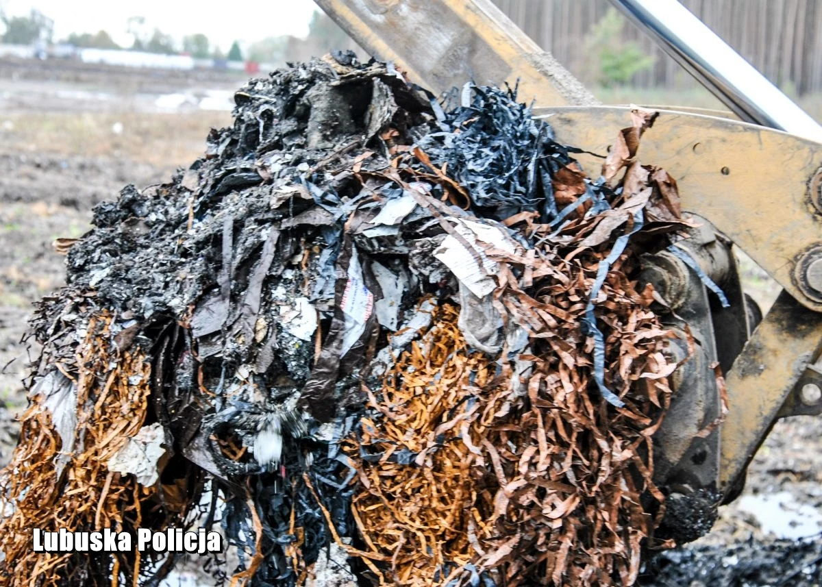 Co najmniej pół miliona metrów sześc. niebezpiecznych odpadów zostało zakopanych na terenie Przemęckiego Parku Krajobrazowego. Policjanci rozbili zorganizowaną grupę przestępczą, która na tym nielegalnym procederze zarobiła kilka milionów złotych. Sprawcy fałszowali dokumenty i zastraszali niewygodnych urzędników oraz świadków.