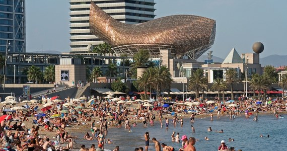 Władze Barcelony podjęły decyzję o zamknięciu pięciu plaż. To reakcja na pojawienie się rekinów. Hiszpańskie media wskazują, że obecność tych zwierząt w wodach Morza Śródziemnego jest niespodziewana.