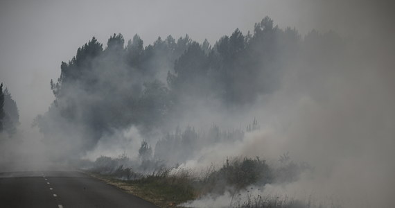 Francuska policja zatrzymała mężczyznę podejrzewanego o spowodowanie największej od blisko ćwierć wieku fali pożarów w rejonie Bordeaux. Spłonęło tam już ponad 14 tysięcy hektarów lasów i pięć wielkich nadmorskich kempingów.
