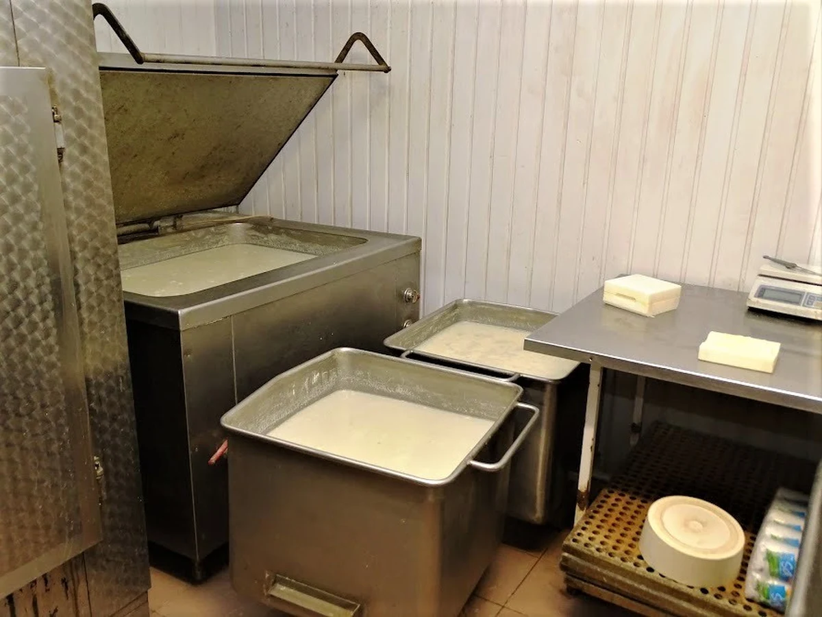 Nowosądeccy policjanci ukrócili nielegalną produkcję serków wędzonych. Jedna z firm sprzedawała je z fałszywymi etykietami. Była na nich nazwa zakładu, który nie działa już od sześciu lat i numer identyfikacyjny sugerujący, że wyrób powstał pod kontrolą inspekcji weterynaryjnej, choć tak nie było.    

