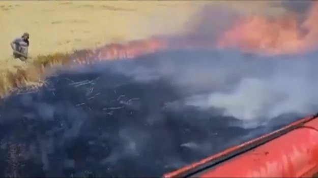 Państwowa Służba Ukrainy ds. Sytuacji Nadzwyczajnych opublikowała nagranie z akcji gaszenia pól, płonących wskutek rosyjskiego ostrzału. Ukraińskie władze podają, że podobne sytuacje zdarzają się w wielu miejscach na południu kraju.