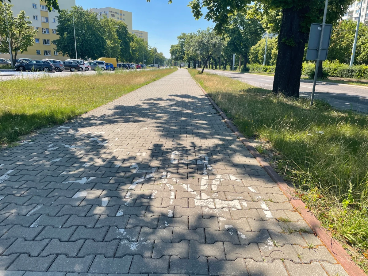 Kolejny fragment drogi rowerowej wzdłuż ul. Pomorskiej w Gdańsku zostanie wyremontowany. Dzięki temu odcinek zyska nową nawierzchnię. Prace rozpoczną się w czwartek.