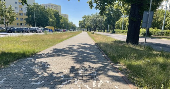 Kolejny fragment drogi rowerowej wzdłuż ul. Pomorskiej w Gdańsku zostanie wyremontowany. Dzięki temu odcinek zyska nową nawierzchnię. Prace rozpoczną się w czwartek.