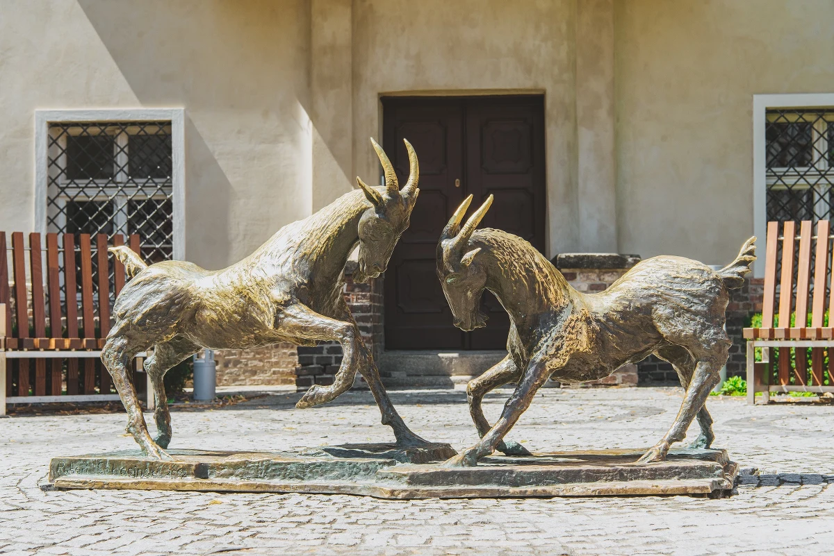 Rzeźbę przedstawiającą dwa trykające się koziołki można znowu podziwiać na odnowionym placu Kolegiackim w Poznaniu. To jedna z najpopularniejszych atrakcji turystycznych w mieście. Pomnik nawiązuje do jednego z symboli Poznania - koziołków z wieży ratuszowej.