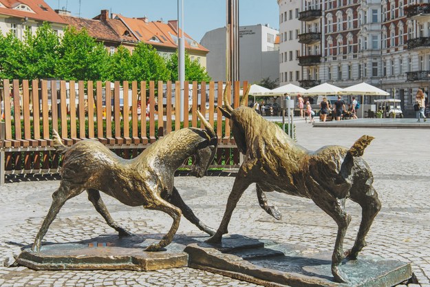 /poznan.policja.gov.pl /Materiały prasowe