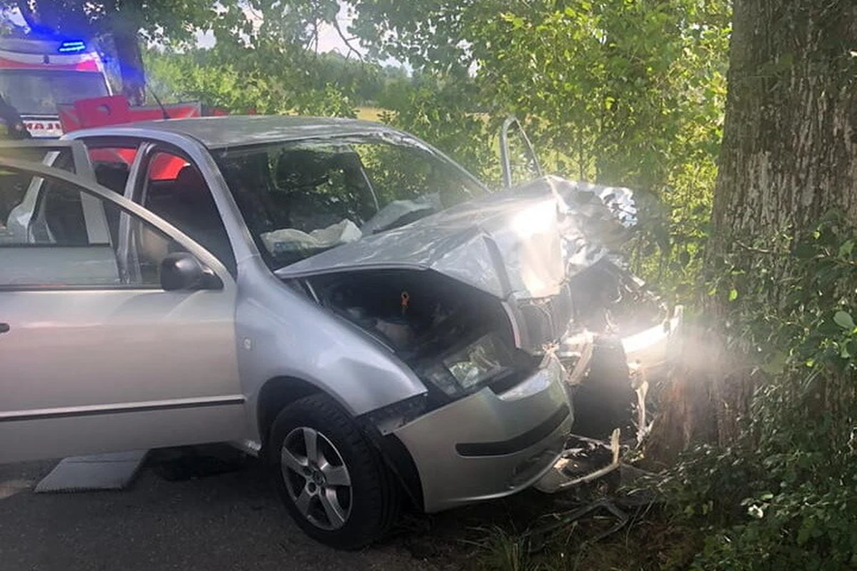 Dwie osoby zginęły, a dwie zostały ciężko ranne w wypadku, do którego doszło na lokalnej drodze Rosocha - Krutyń na Mazurach. Auto, którym jechały, uderzyło w przydrożne drzewo - podała policja.