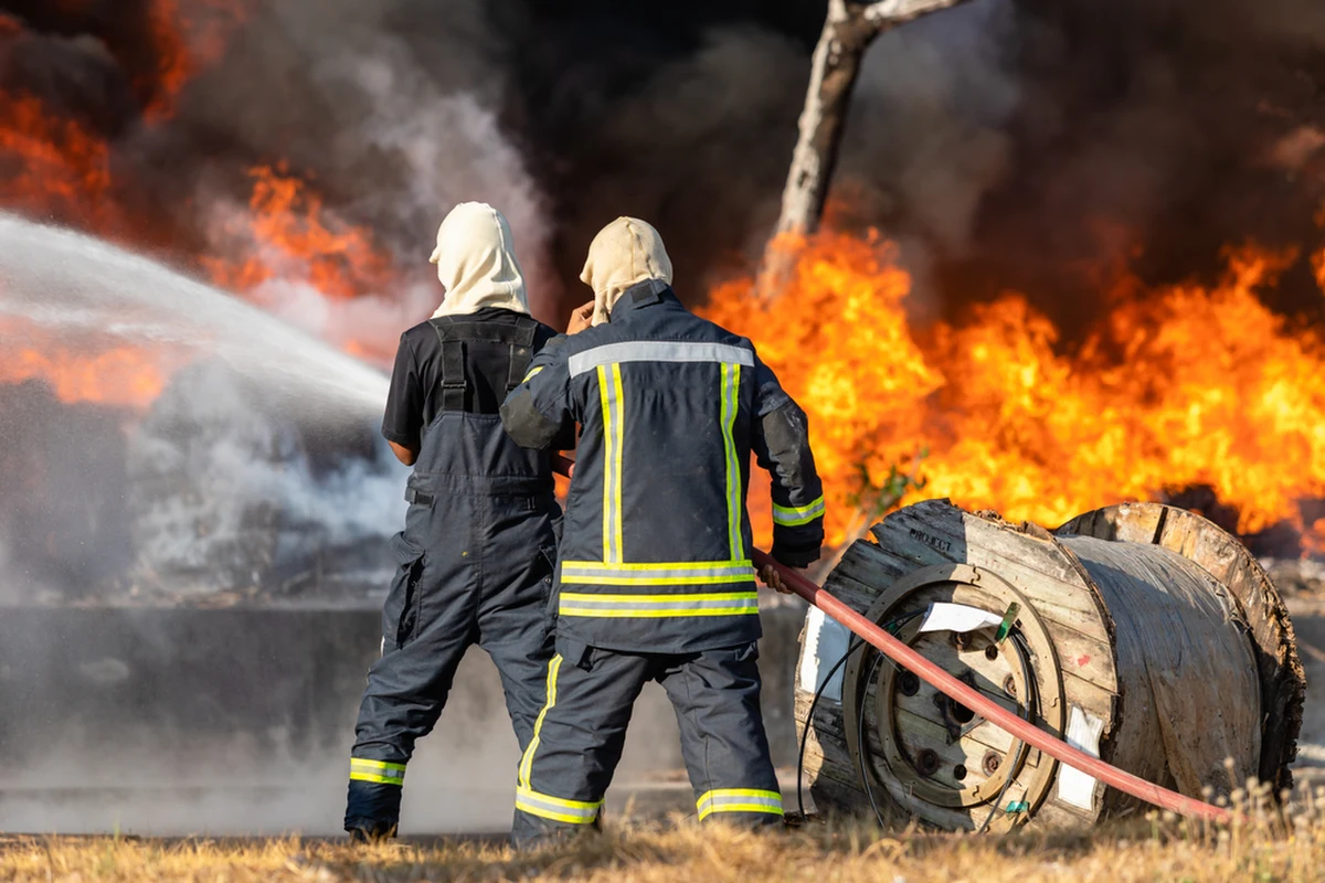 Pożar w zakładzie hodowlanym w miejscowości Kidów w województwie śląskim. Strażacy informację o pożarze otrzymali we wtorek wieczorem. Akcja wciąż trwa. Z płonącego budynku udało się wyprowadzić wszystkie zwierzęta.