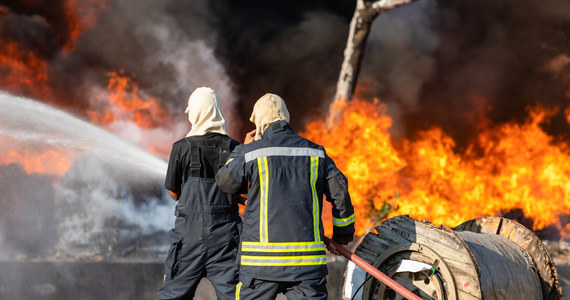 Pożar w zakładzie hodowlanym w miejscowości Kidów w województwie śląskim. Strażacy informację o pożarze otrzymali we wtorek wieczorem. Akcja wciąż trwa. Z płonącego budynku udało się wyprowadzić wszystkie zwierzęta.