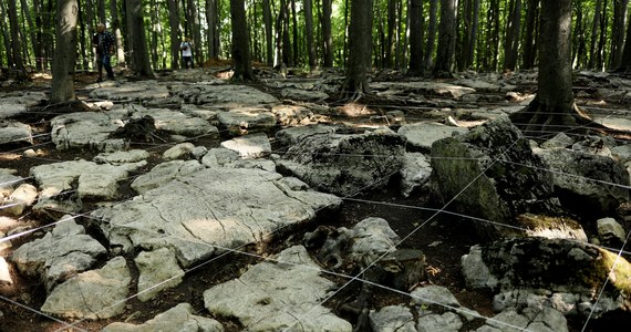 Unikatowe w środkowej Europie dolomitowe megality, krzemienie z epoki schyłkowego paleolitu i ciałopalny pochówek wstępnie datowany na wczesne średniowiecze – to niektóre odkrycia archeologów w obrębie Bukowej Góry, jednego ze Wzgórz Trzebiesławickich w granicach Dąbrowy Górniczej.