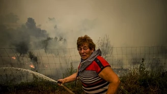 Do kiedy czas na uratowanie świata? Polski klimatolog polemizuje z raportem IPCC