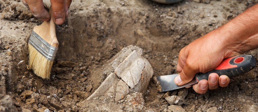 11 grobów kultury ceramiki sznurowej odkryto w czasie prac budowlanych na trasie ekspresowej S19, między węzłami Rzeszów Południe i Babica na Podkarpaciu. Trwają tam teraz badania arecheologiczne. 
