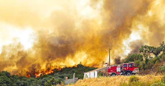 ​W Portugalii kilkuset strażaków i mieszkańców podlizbońskiej Sintry gasi duży pożar lasów w rejonie tego słynącego z zabytkowych budowli miasta. Akcja wspierana jest przez 10 wozów strażackich i samolot gaśniczy.