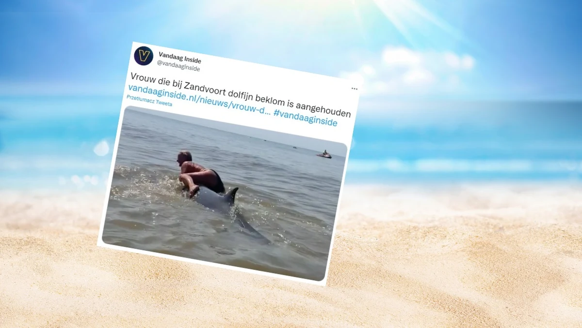 Policja aresztowała kobietę, która wcześniej wspięła się na grzbiet wieloryba w nadmorskiej miejscowości Zandvoort - informują media. Funkcjonariusze dopiero sprawdzają, czy czyn kobiety jest karalny.