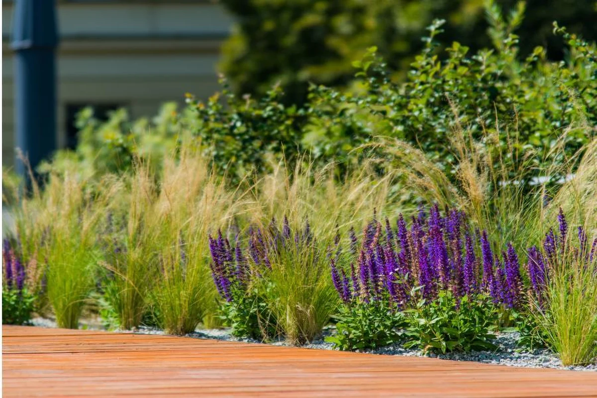 Nowy skwer powstał tuż przy stacji metra Ratusz Arsenał, w centrum miasta. Warszawiacy mogą tu nie tylko uprawiać sport, ale także odpocząć pośród zieleni. Miejscy ogrodnicy posadzili 24 drzewa i kilka tysięcy krzewów - poinformował stołeczny ratusz.