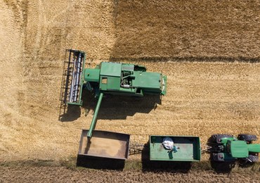 Żniwa ruszyły. "Problemem jest opłacalność tego, co na polu"