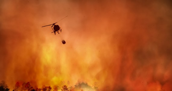 ​Powracająca w piątek nad Półwysep Iberyjski fala tropikalnych upałów doprowadziła do kilkudziesięciu pożarów w Hiszpanii i Portugalii. W sumie w lipcu w obu krajach spłonęło ponad 125 tys. hektarów lasów i łąk.