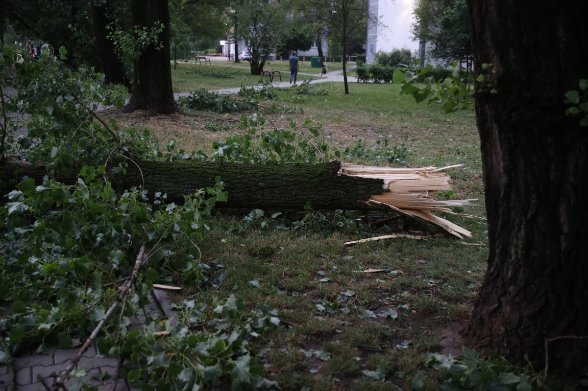 Dwie osoby zginęły w wyniku nawałnic, które przeszły nad Polską. W miejscowości Biały Kościół na Dolnym Śląsku silny wiatr powalił drzewo, które spadło na ok. 70-letnią kobietę. Do tragedii doszło też na Podkarpaciu. Zginął mężczyzna, po tym jak drzewo przewróciło się na jego samochód. 