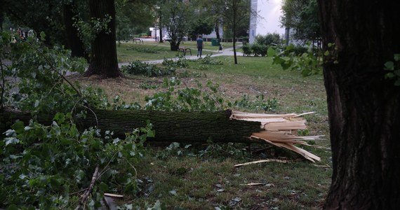Dwie osoby zginęły w wyniku nawałnic, które przeszły nad Polską. W miejscowości Biały Kościół na Dolnym Śląsku silny wiatr powalił drzewo, które spadło na ok. 70-letnią kobietę. Do tragedii doszło też na Podkarpaciu. Zginął mężczyzna, po tym jak drzewo przewróciło się na jego samochód. 