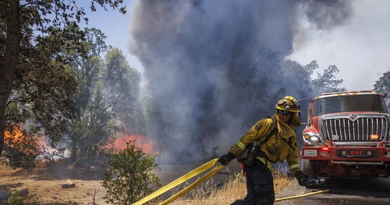 Tysiące ludzi otrzymało nakaz ewakuacji z powodu błyskawicznie rozprzestrzeniającego się pożaru w pobliżu Parku Narodowego Yosemite. Do sobotniego popołudnia obszar objęty żywiołem obejmował powierzchnię 38 kilometrów kwadratowych, co oznaczało, że przerodził się w jeden z największych tegorocznych pożarów w Kalifornii - poinformowała agencja Associated Press.