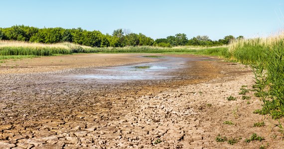 Było ostrzeżenie o gwałtownych wzrostach poziomu wody w rzekach, ale nadal jest susza hydrologiczna. Wczorajsze burze i ulewy nie przyniosły poprawy sytuacji na niektórych rzekach w Śląskiem. W części regionu rzeki nadal płyną poniżej swoich średnich poziomów.