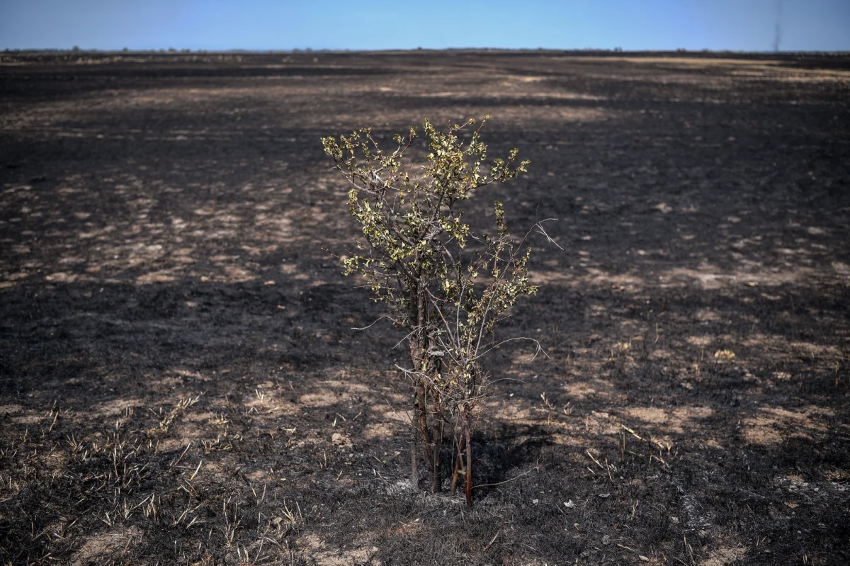 W związku z utrzymującymi się od weekendu w Rumunii wysokimi temperaturami powietrza na terenie tego kraju zaczyna brakować wody. Konsekwencją nienotowanej dotychczas suszy i tropikalnych upałów są liczne pożary.