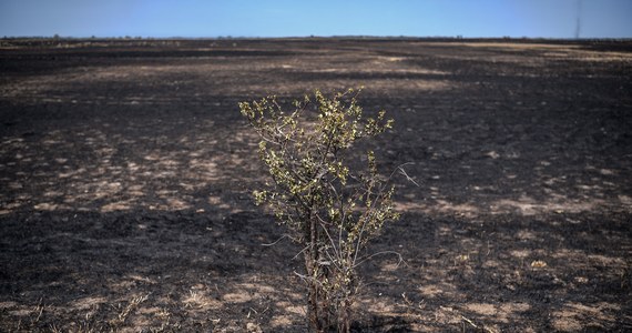 W związku z utrzymującymi się od weekendu w Rumunii wysokimi temperaturami powietrza na terenie tego kraju zaczyna brakować wody. Konsekwencją nienotowanej dotychczas suszy i tropikalnych upałów są liczne pożary.