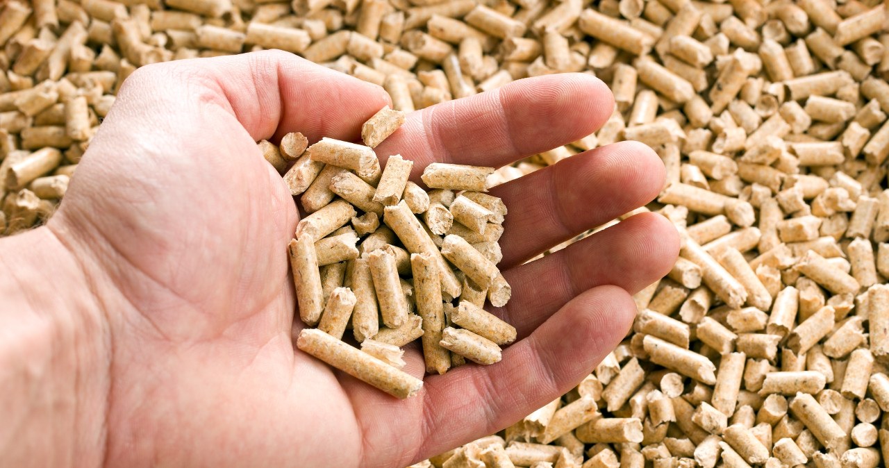 Pellet jest drogi albo go brakuje. Czy w piecu możesz palić owsem?